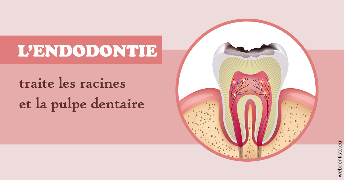 https://dr-boyer-sophie.chirurgiens-dentistes.fr/L'endodontie 2
