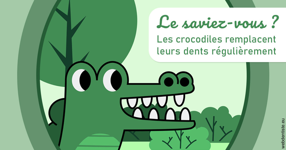 https://dr-boyer-sophie.chirurgiens-dentistes.fr/Crocodiles 2