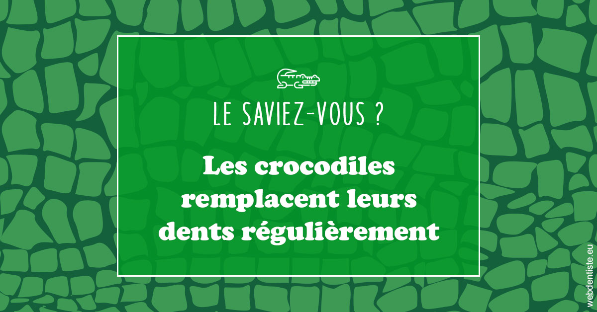 https://dr-boyer-sophie.chirurgiens-dentistes.fr/Crocodiles 1